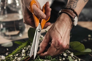 Scissors