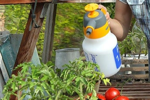 Garden Sprayers