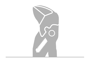 Tool Accessories