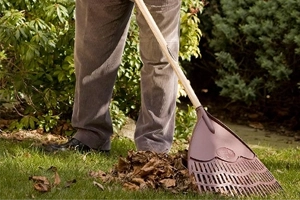 Garden Rakes