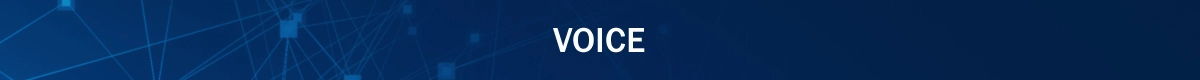 Voice