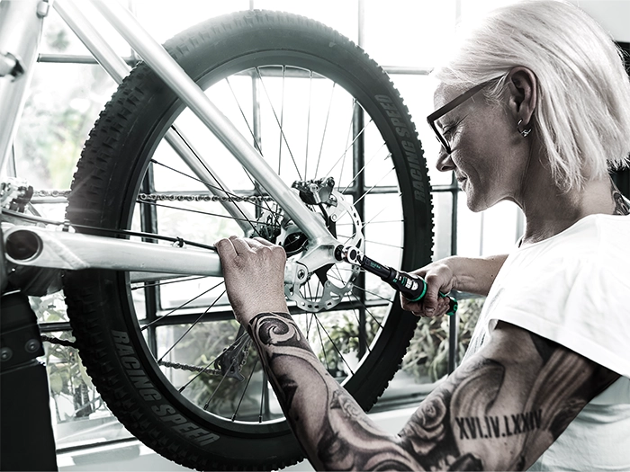 Torque Wrenches & Drivers